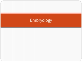 Embryology