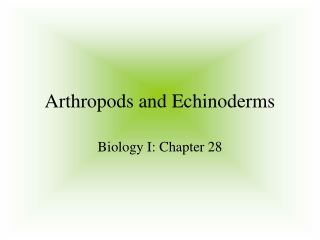 Arthropods and Echinoderms