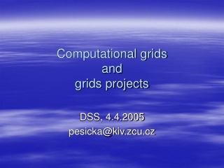 Computational grids  and  grids projects