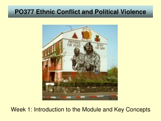 PO377 Ethnic Conflict and Political Violence