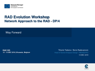 RAD Evolution Workshop Network Approach to the RAD - DP/4