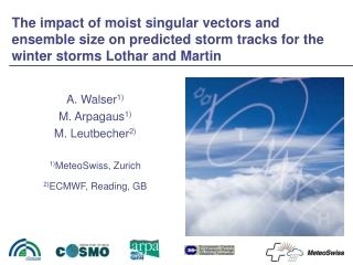 A. Walser 1) M. Arpagaus 1) M. Leutbecher 2) 1) MeteoSwiss, Zurich 2) ECMWF, Reading, GB