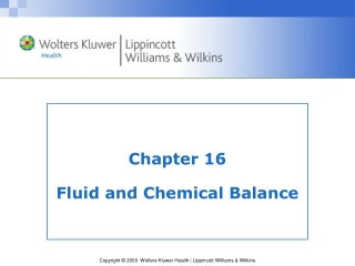 Chapter 16 Fluid and Chemical Balance