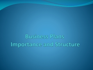 Business Plans  Importance and Structure