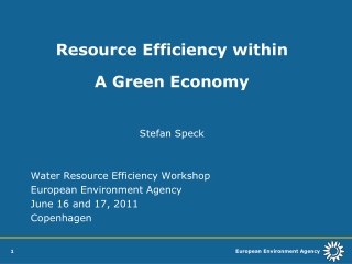 Resource Efficiency within  A Green Economy Stefan Speck   Water Resource Efficiency Workshop