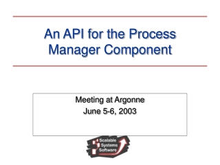 An API for the Process Manager Component