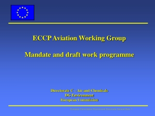 ECCP Aviation Working Group Mandate and draft work programme Directorate C – Air and Chemicals