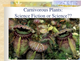 Carnivorous Plants:  Science Fiction or Science??