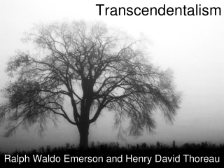 Transcendentalism