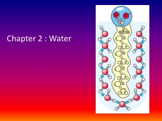 Chapter 2 : Water