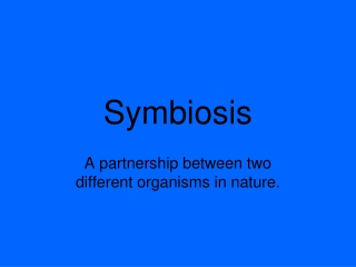 Symbiosis