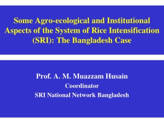 Prof. A. M. Muazzam Husain Coordinator  SRI National Network Bangladesh