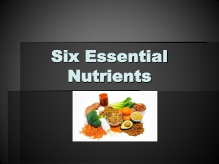 Six Essential Nutrients