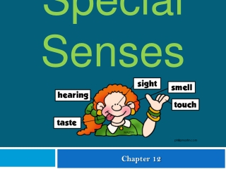 Special Senses