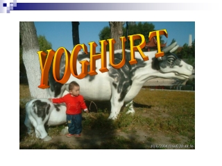 YOGHURT