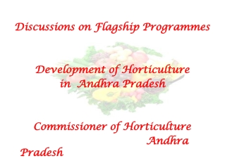 Discussions on Flagship Programmes Development of Horticulture   in  Andhra Pradesh