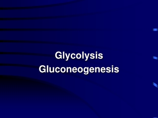 Glycolysis Gluconeogenesis