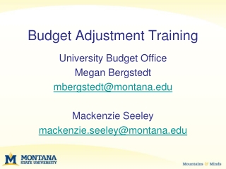 Budget Adjustment Training