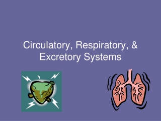 Circulatory, Respiratory, &amp; Excretory Systems