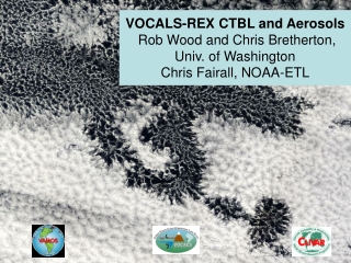 Current U.S. AGCM stratocumulus simulations