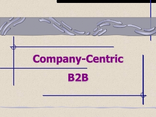 Company-Centric  B2B