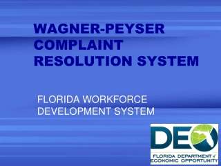WAGNER-PEYSER  COMPLAINT RESOLUTION SYSTEM
