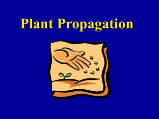 Plant Propagation