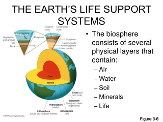 THE EARTH’S LIFE SUPPORT SYSTEMS