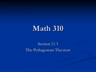 Math 310