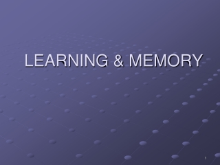 LEARNING &amp; MEMORY