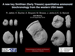 A new key Smithian (Early Triassic) quantitative ammonoid