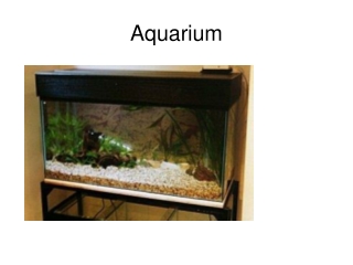 Aquarium