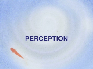 PERCEPTION