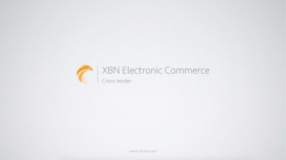 XBN Company profile