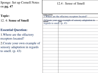 Sponge: Set up Cornell Notes on  pg. 47 Topic:  12. 4:  Sense of Smell Essential Question: