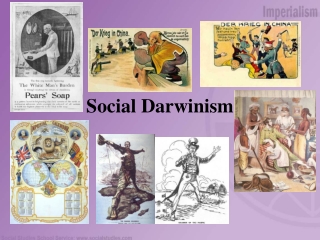 Social Darwinism Applied PowerPoint (PPT) Presentations, Social ...