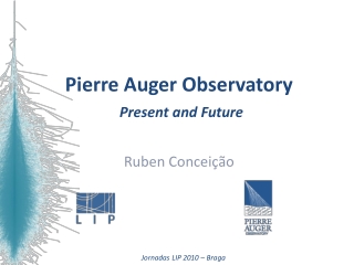 Pierre Auger Observatory Present and Future