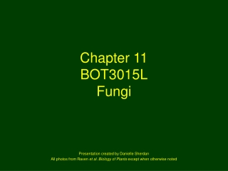 Chapter 11 BOT3015L Fungi