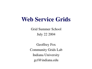 Web Service Grids