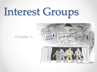 Interest Groups