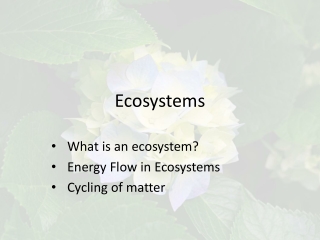 Ecosystems