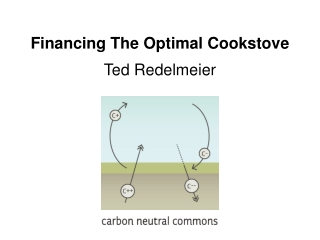 Financing The Optimal Cookstove Ted Redelmeier