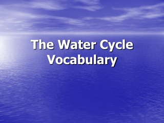 The Water  Cycle Vocabulary