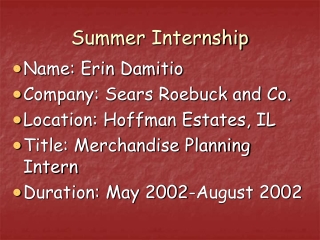 Summer Internship