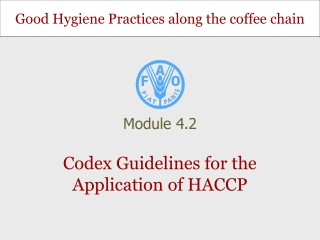 Codex Guidelines for the Application of HACCP