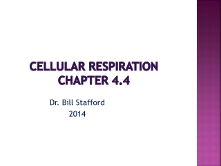 Cellular Respiration Chapter 4.4