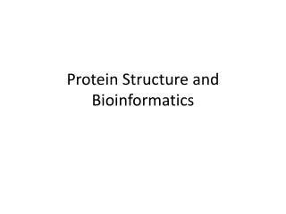 Protein Structure and Bioinformatics