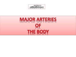 Major arteries  of  the body