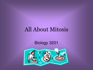 All About Mitosis