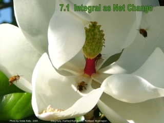 7.1  Integral as Net Change